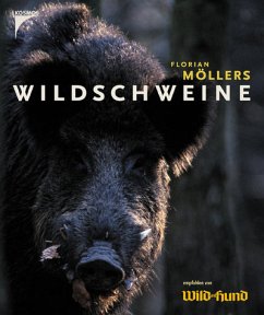 Wildschweine - Möllers, Florian