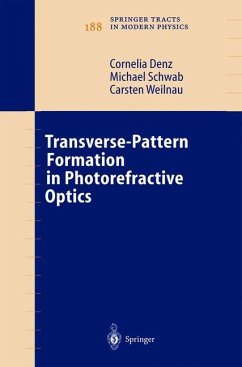Transverse-Pattern Formation in Photorefractive Optics - Denz, Cornelia;Schwab, Michael;Weilnau, Carsten