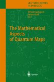 The Mathematical Aspects of Quantum Maps