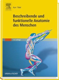 Beschreibende und funktionelle Anatomie des Menschen - Tittel, Kurt