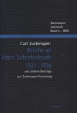 Briefe an Hans Schiebelhuth 1921-1936