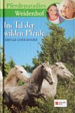 Im Tal der wilden Pferde / Pferdeparadies Weidenhof Bd.7