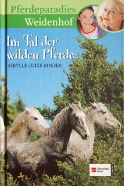 Im Tal der wilden Pferde / Pferdeparadies Weidenhof Bd.7 - Binder, Sibylle L.