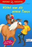 Wirbel um die neuen Ponys / Ponyhof Wiesental Bd.10