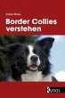 Border Collies verstehen - Bild 1