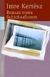 Roman eines Schicksallosen - Bild 1