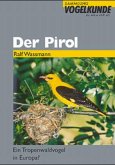 Der Pirol (Ein Tropenwaldvogel in Europa?)