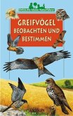 Greifvögel beobachten und bestimmen