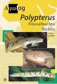 Polypterus. Flösselhechte Bichirs