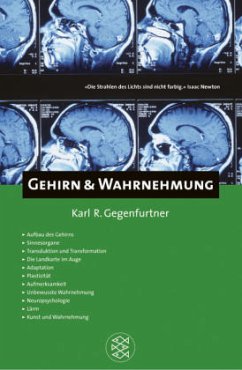 Gehirn & Wahrnehmung - Gegenfurtner, Karl R.