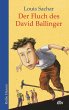 Der Fluch des David Ballinger - Bild 1