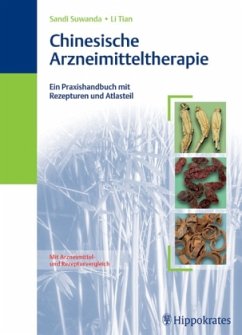 Cover Chinesische Arzneimitteltherapie