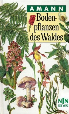 Bodenpflanzen des Waldes - Amann, Gottfried