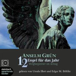 12 Engel für das Jahr, 1 Audio-CD - Grün, Anselm