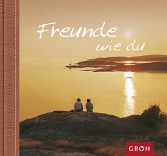 Cover Freunde wie du