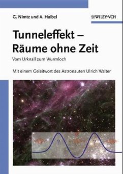 Tunneleffekt - Nimtz, Günter; Haibel, Andrea