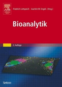 Allgemeine und Anorganische Chemie - Binnewies, Michael / Jäckel, Manfred / Willner, Helge / Rayner-Canham, Geoff