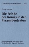 Die Feinde des Königs in den Pyramidentexten