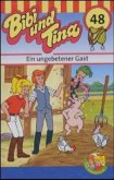 Ein ungebetener Gast, 1 Cassette / Bibi und Tina, Cassetten 48
