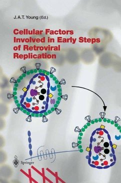 Cellular Factors Involved in Early Steps of Retroviral Replication - Young, John A.T. (ed.)