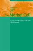 The Merkel Cell