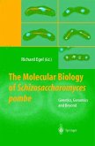 The Molecular Biology of Schizosaccharomyces pombe