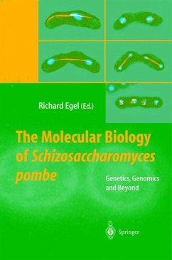 The Molecular Biology of Schizosaccharomyces pombe - Egel, Richard (ed.)