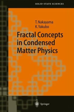 Fractal Concepts in Condensed Matter Physics - Nakayama, Tsuneyoshi;Yakubo, Kousuke