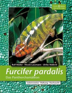 Furcifer pardalis. Das Panterchamäleon - Müller, Rolf;Lutzmann, Nicolá;Walbröl, Ulrike