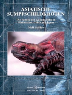 Asiatische Sumpfschildkröten - Schilde, Maik