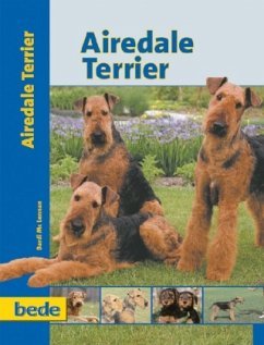Airedale Terrier - McLennan, Bardi