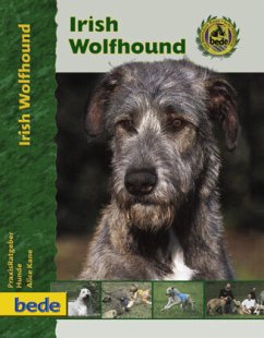 Irish Wolfhound - Kane, Alice