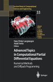 Advanced Topics in Computational Partial Differential Equations