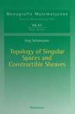 Topology of Singular Spaces and Constructible Sheaves