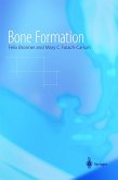 Bone Formation