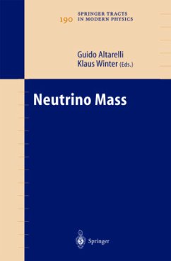 Neutrino Mass - Altarelli, Guido / Winter, Klaus (eds.)