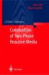 Combustion of Two-Phase Reactive Media - Bild 1