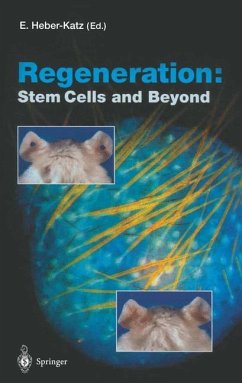 Regeneration: Stem Cells and Beyond - Heber-Katz, E. (Volume ed.)