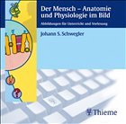 Der Mensch - Anatomie und Physiologie CD - Schwegler, Johann S.