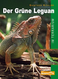 Der Grüne Leguan im Terrarium - Köhler, Gunther