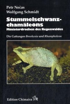 Stummelschwanzchamäleons - Necas, Petr; Schmidt, Wolfgang
