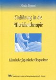 Einführung in die Meridiantherapie