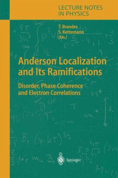 Anderson Localization and Its Ramifications - Brandes, Tobias / Kettemann, Stefan (Hgg.)