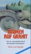 Blumen auf Granit - Bild 1