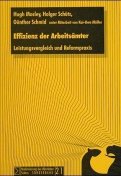 Effizienz der Arbeitsämter - Mosley, Hugh;Schütz, Holger;Schmid, Günther