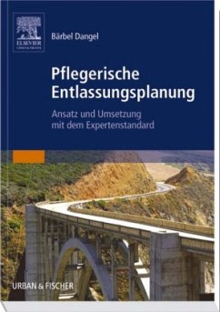 Pflegerische Entlassungsplanung - Dangel, Bärbel