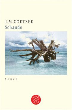 Schande - Coetzee, Jean M.