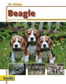 Ihr Hobby Beagle