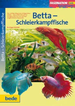Cover Betta-Schleierkampffische