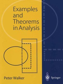 Examples and Theorems in Analysis - Walker, Peter